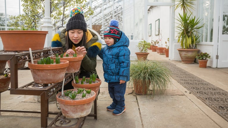 A toddler and their mother exploring the glasshouse at Clumber Park, Nottinghamshire